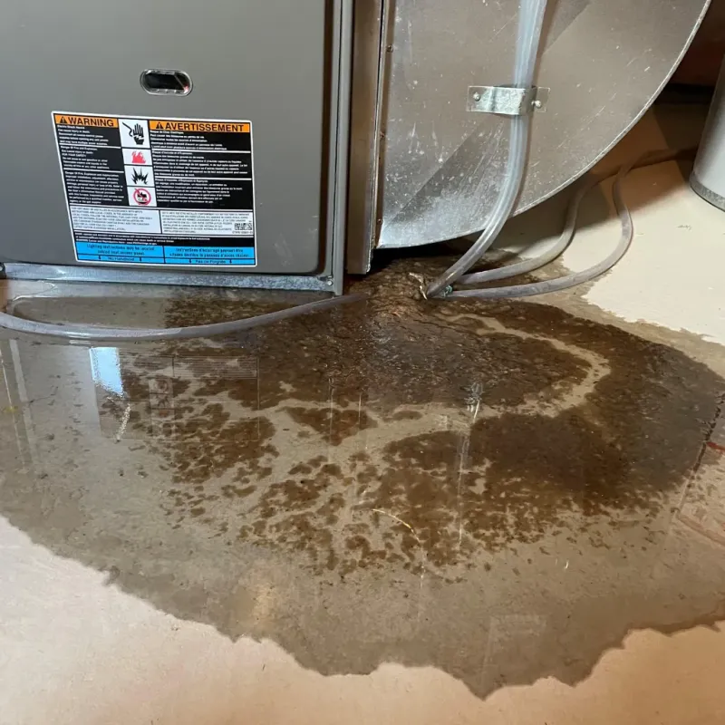 Appliance Leak Cleanup in Aiken County, SC